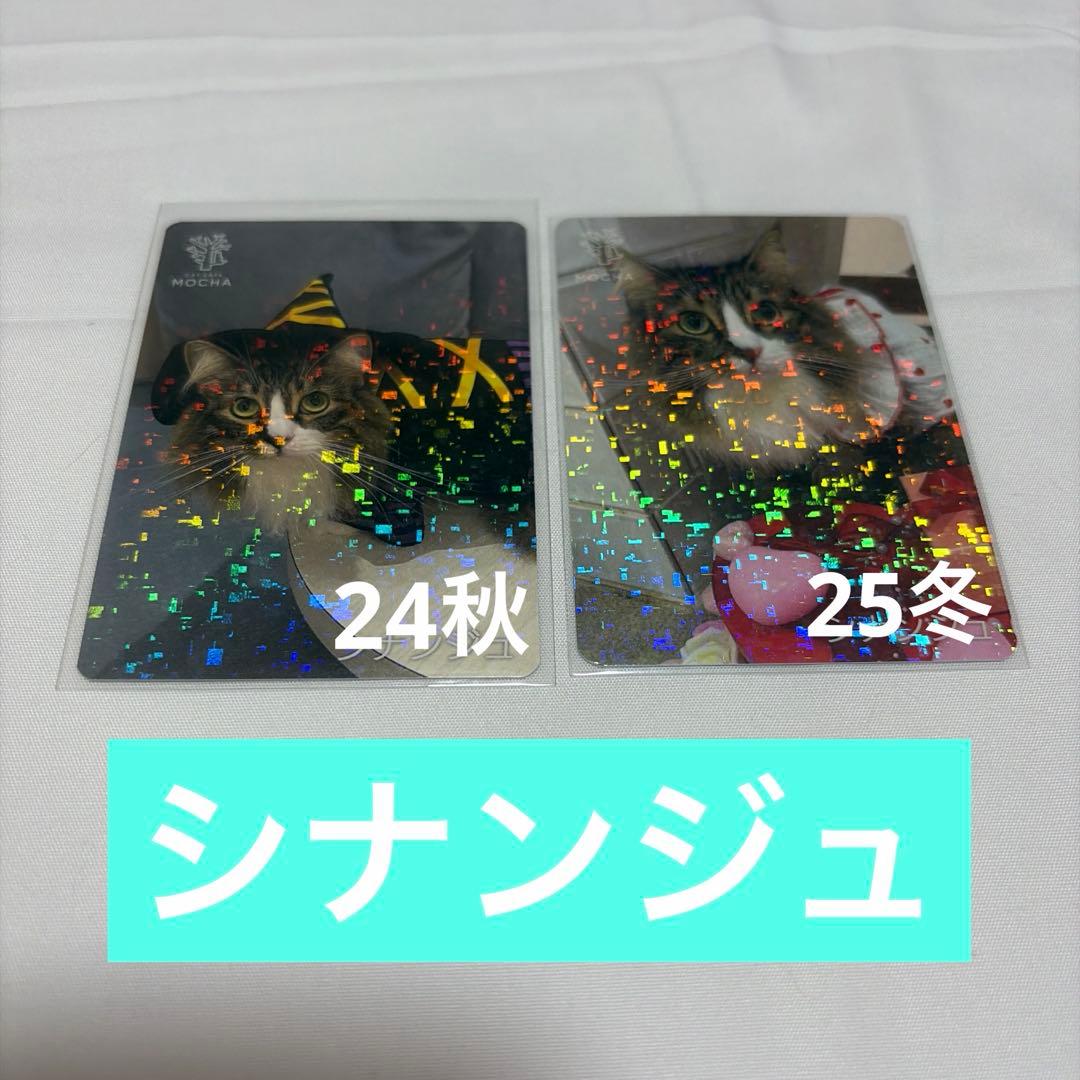 猫カフェ mocha 町田 にゃんずトレカ