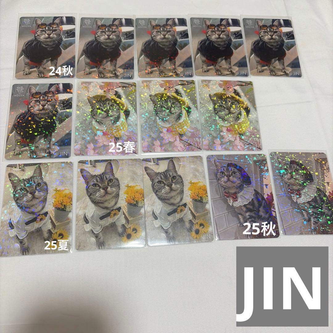 猫カフェ mocha 町田 にゃんずトレカ