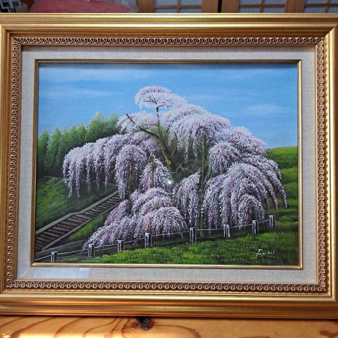 なんと‼️今だけ特別価格【期間限定商品　貴重品】日本三代桜 三春滝桜 福島県