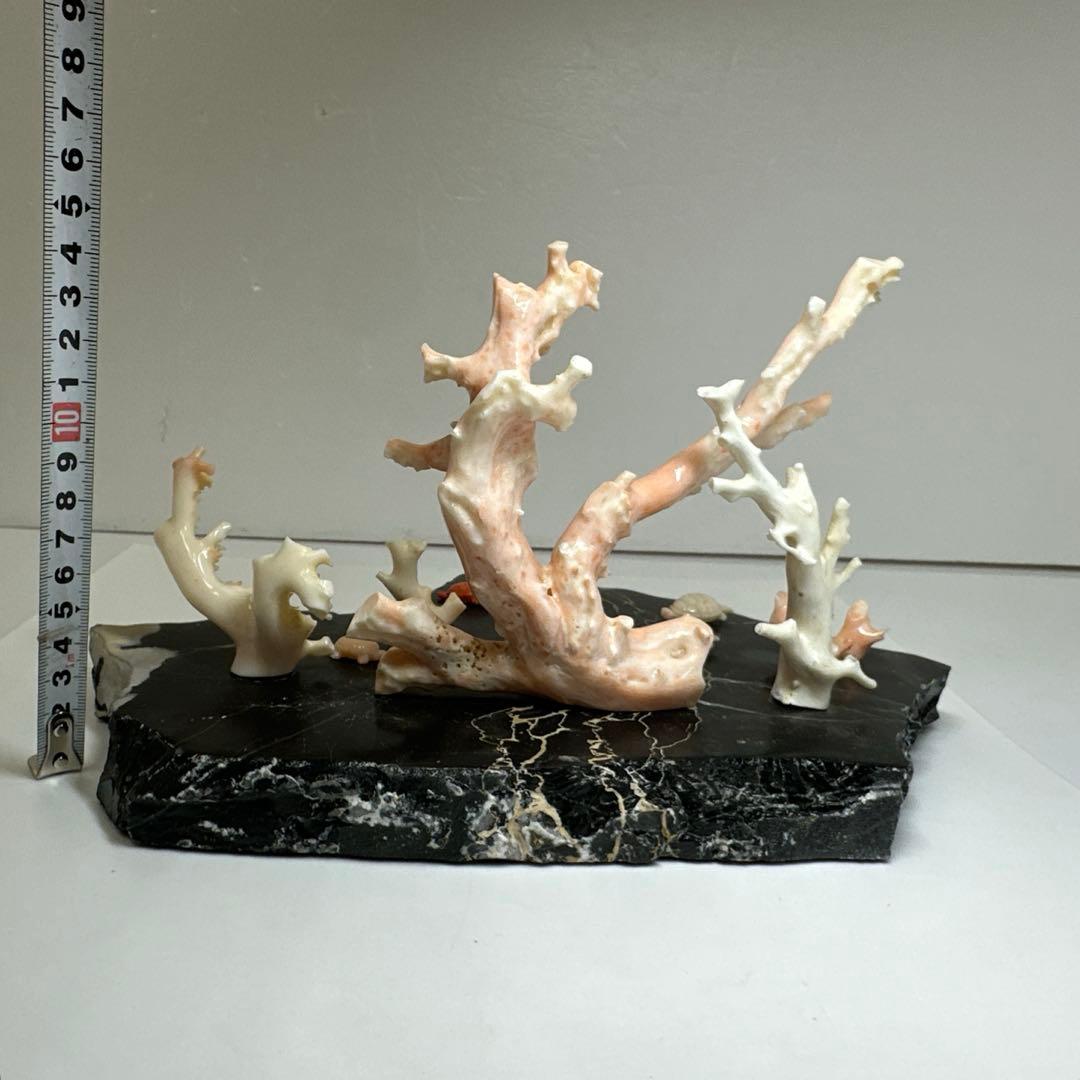 本ぼけ珊瑚　極太原木　赤珊瑚カメ　置物　約291gトコエ　東さ8-0104☆1F