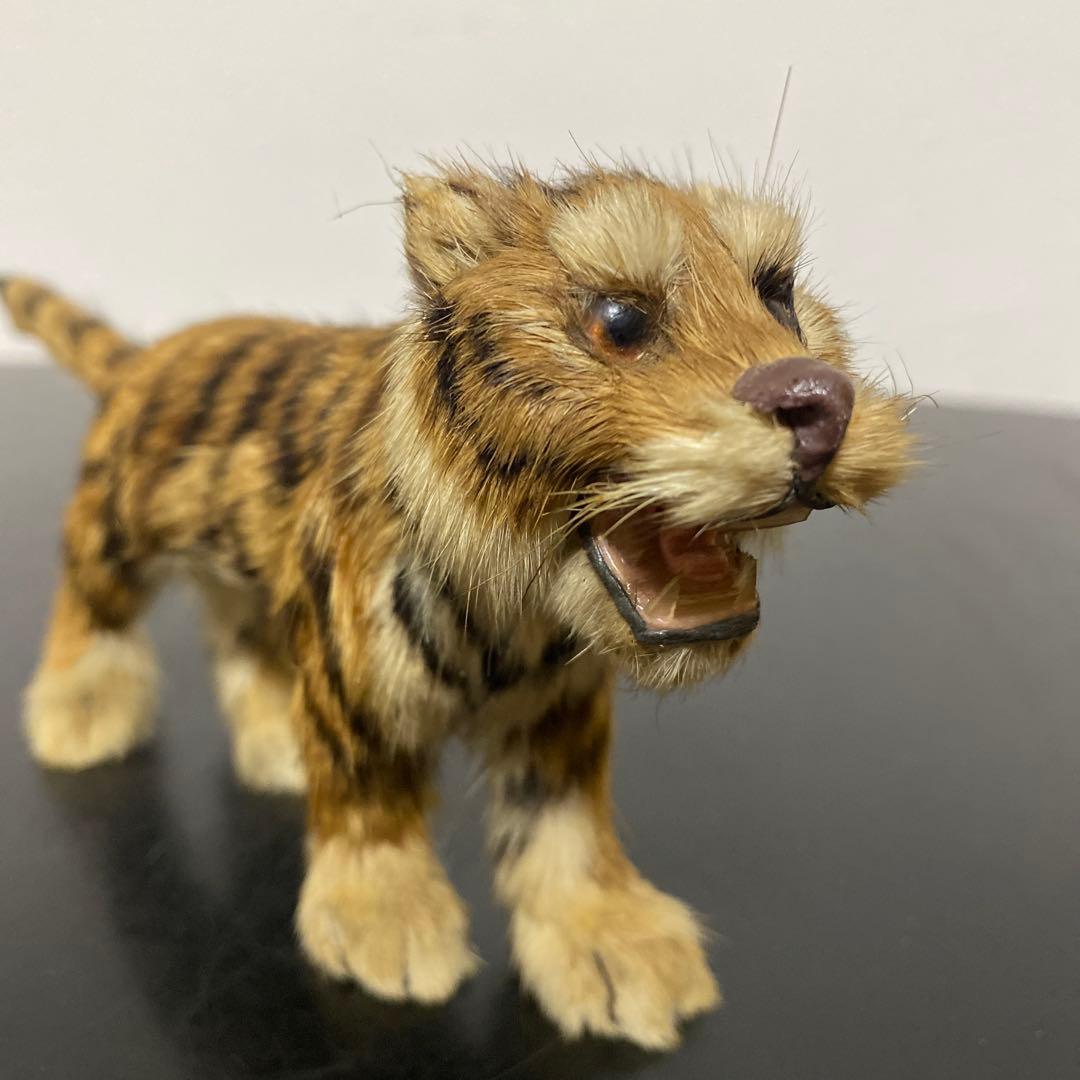 希少品　虎　剥製風　置物　リアル　オブジェ　ヴィンテージ　m7