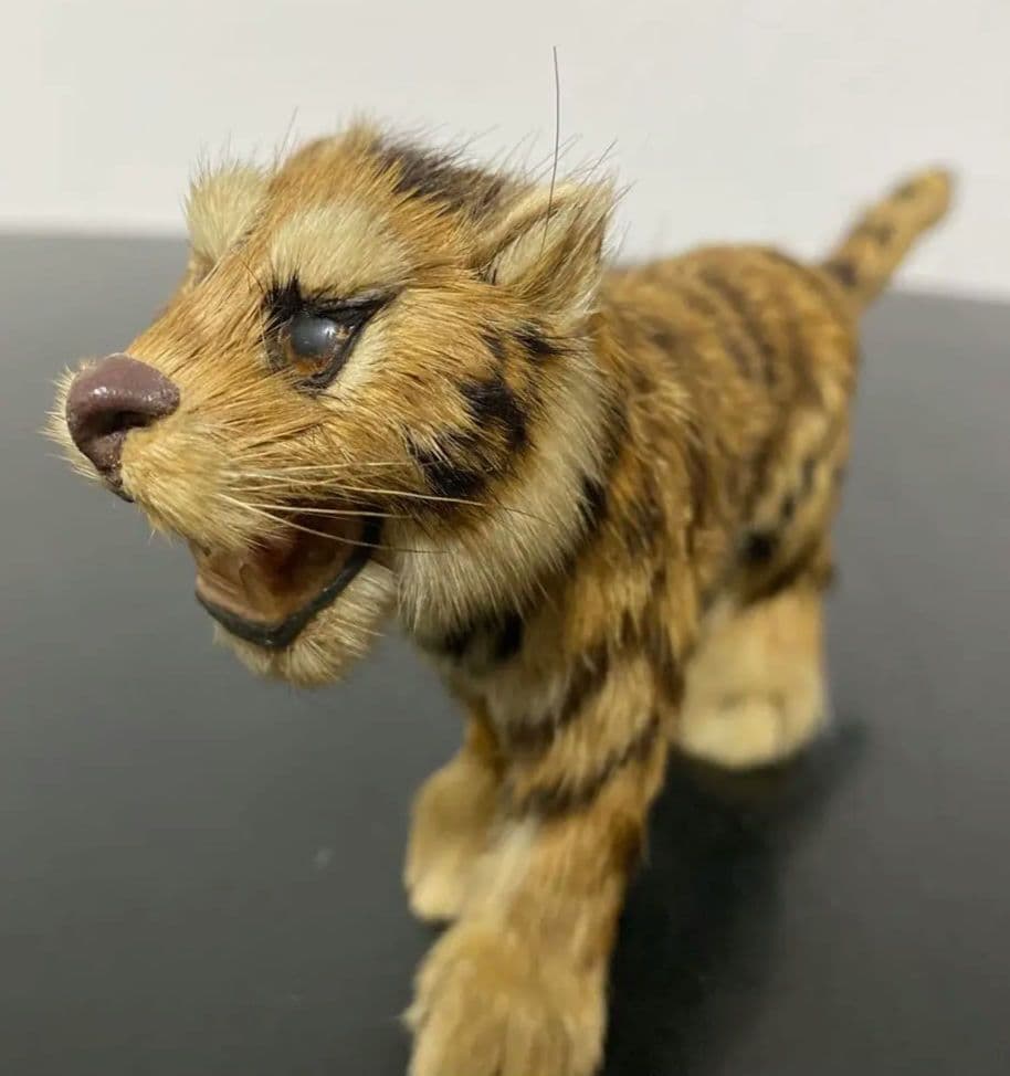 希少品　虎　剥製風　置物　リアル　オブジェ　ヴィンテージ　m7