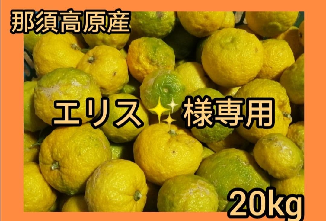 エリス✨　柚子　20kg