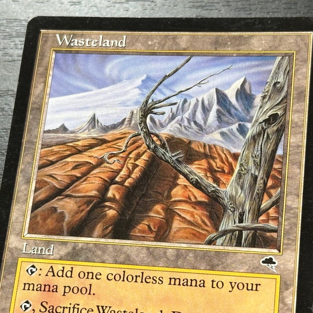 MTG 不毛の大地 英語 初版 2枚