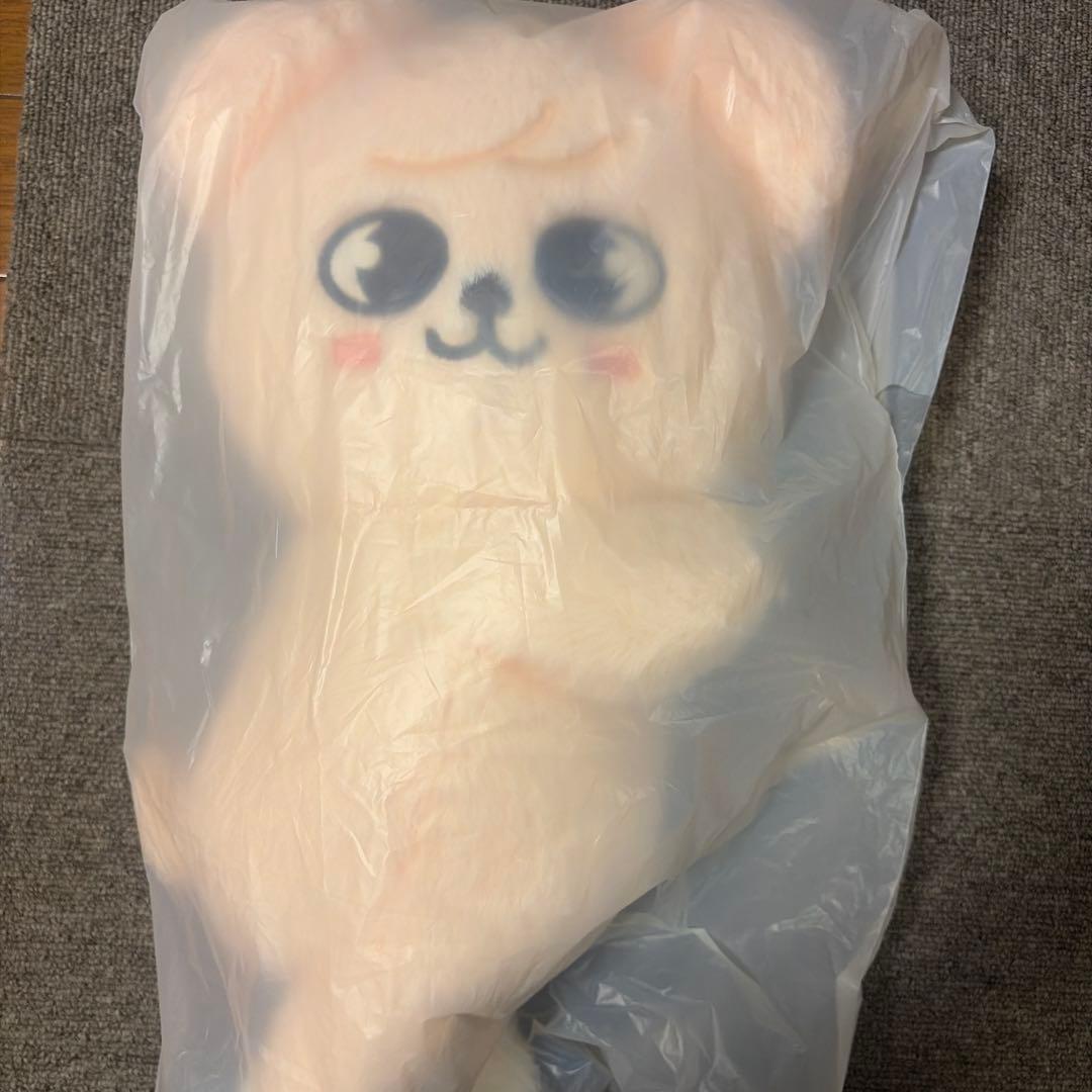 straykids celebrATE プラッシュバッグ パピム