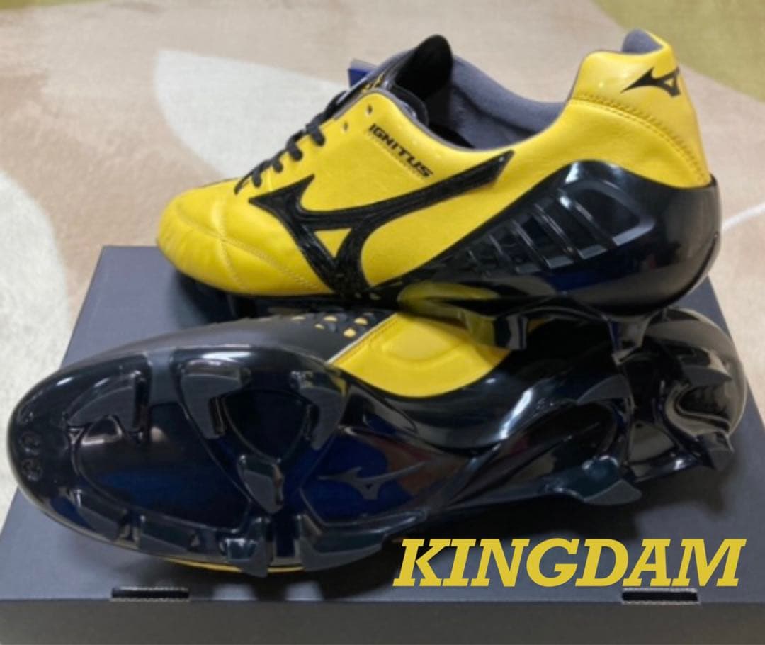 新品 ミズノ ウェーブイグニタス ジャパン 26cm 即日発送！