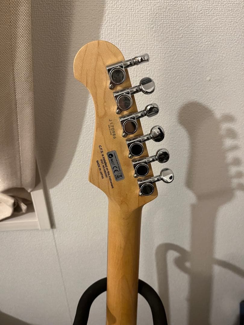 FUJIGEN BCST10RBD(ケース付き)