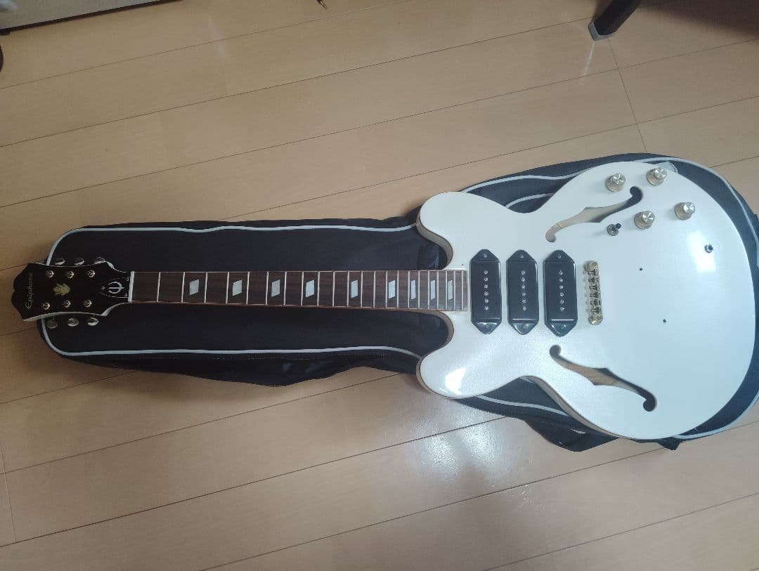 エピフォン リベエラ　P93 抜け殻