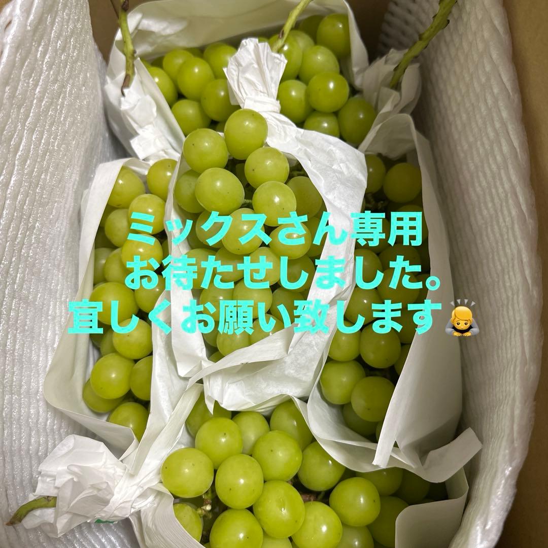 ミックスさん専用 シャインマスカット５キロ