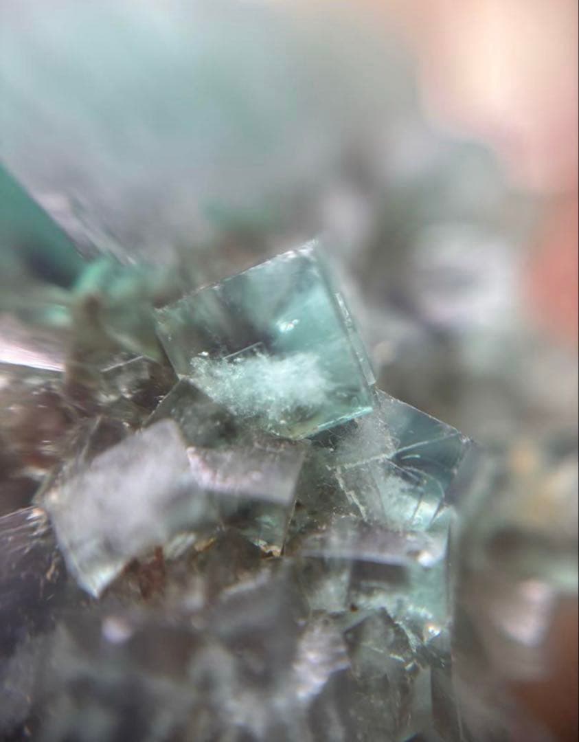 k*g様 レディアナベラ　toxic apple pocket フローライト　レ