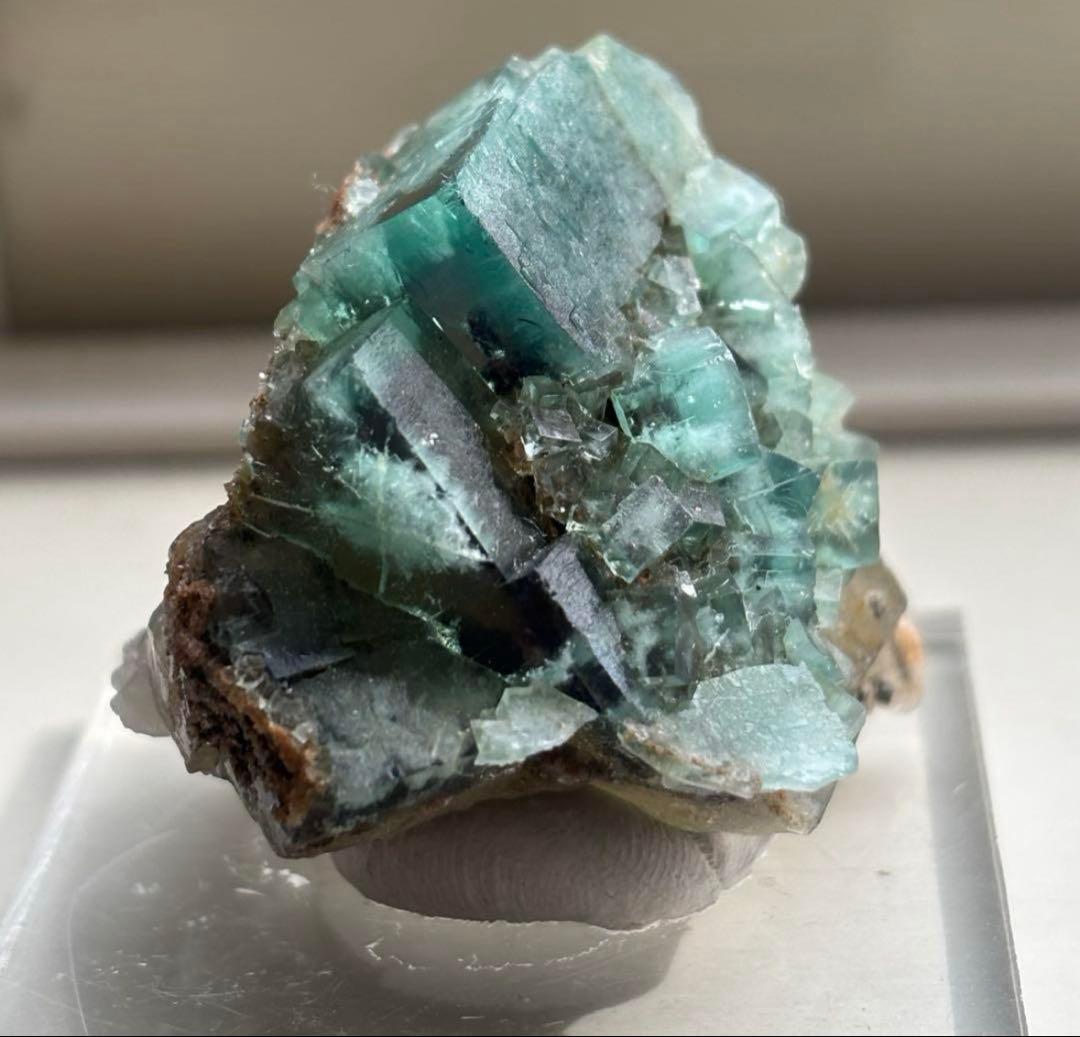 k*g様 レディアナベラ　toxic apple pocket フローライト　レ