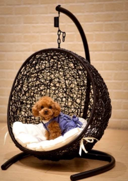 ペット用 ゆりかこベット