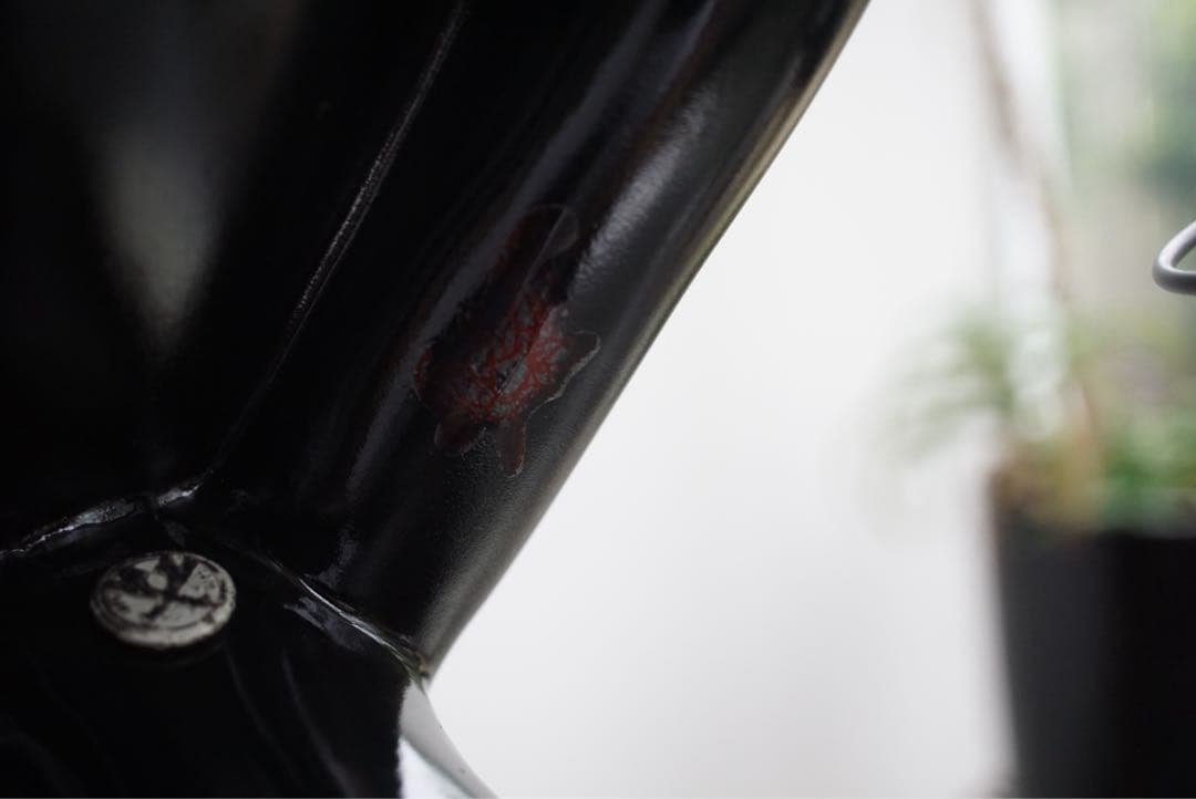 Roen × Tweety スワロ ビッグサイズ フィギュア