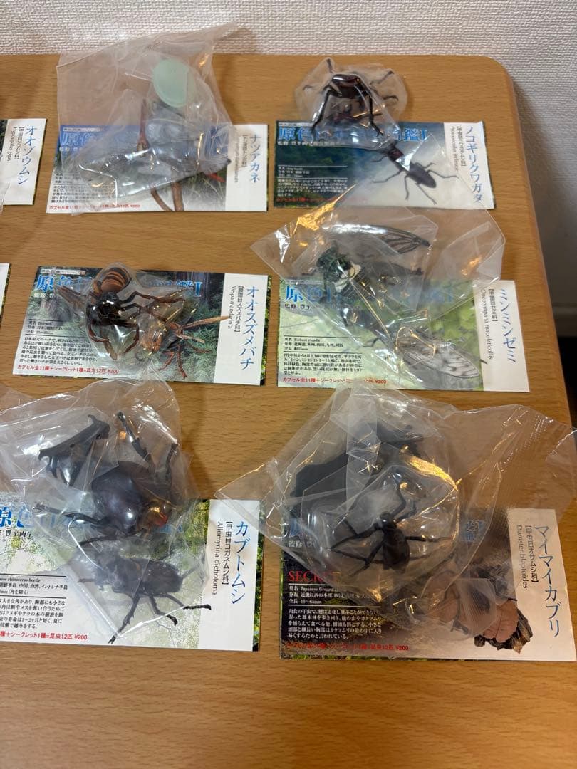 ユージン　原色日本昆虫図鑑I　11種＋シークレット　コンプリート　内袋未開封