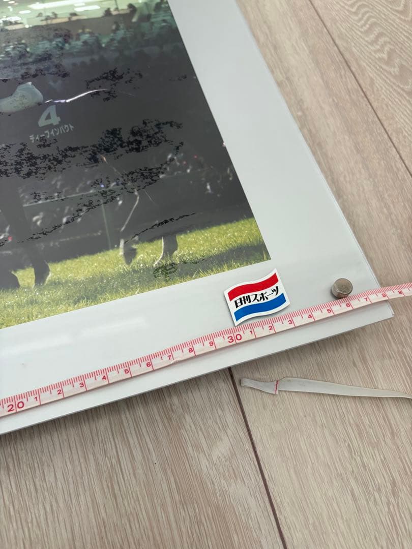 競馬　ディープインパクト　引退式　日刊スポーツ　パネル