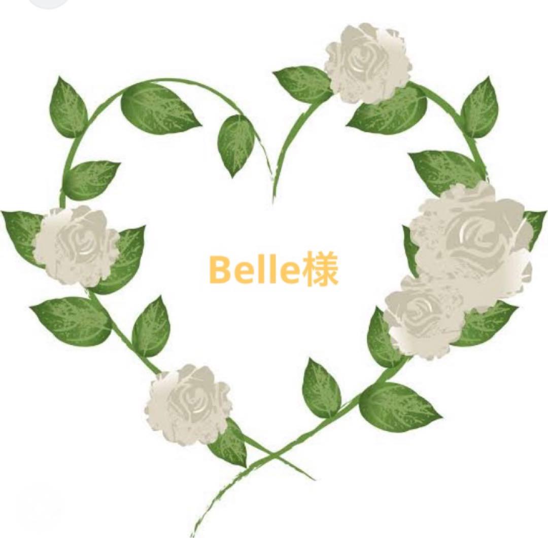Belle様✨御専用でございます
