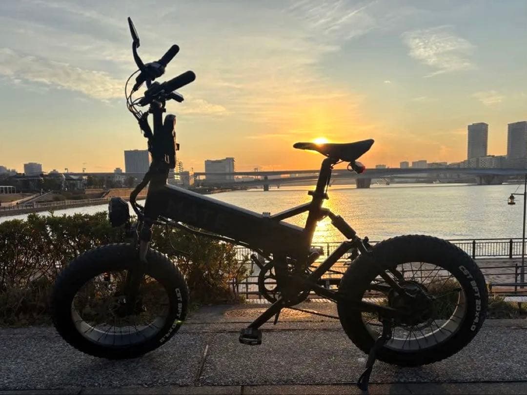 MATE X カスタム多数　電動アシスト　ブラック