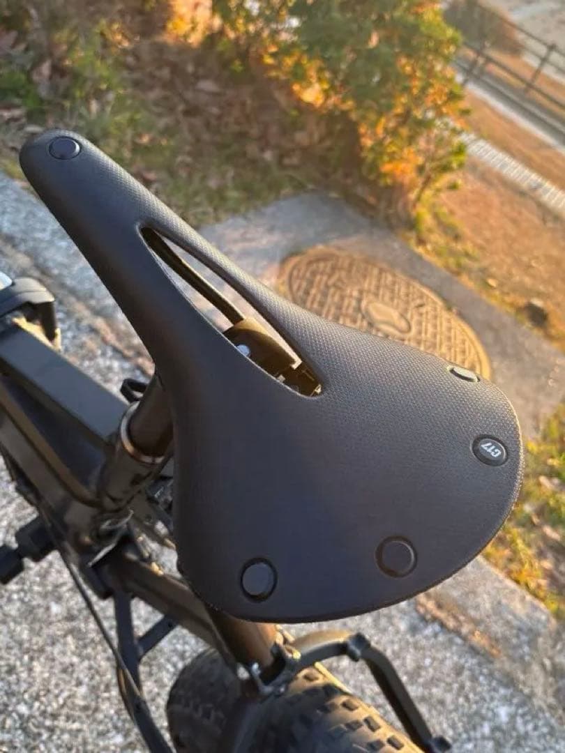 MATE X カスタム多数　電動アシスト　ブラック