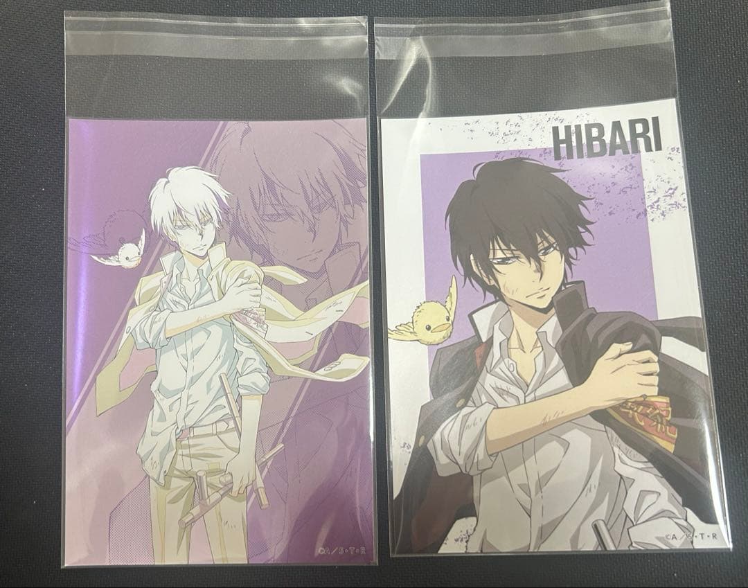 家庭教師ヒットマンREBORN! 雲雀恭弥 ポストカード ラストワン賞