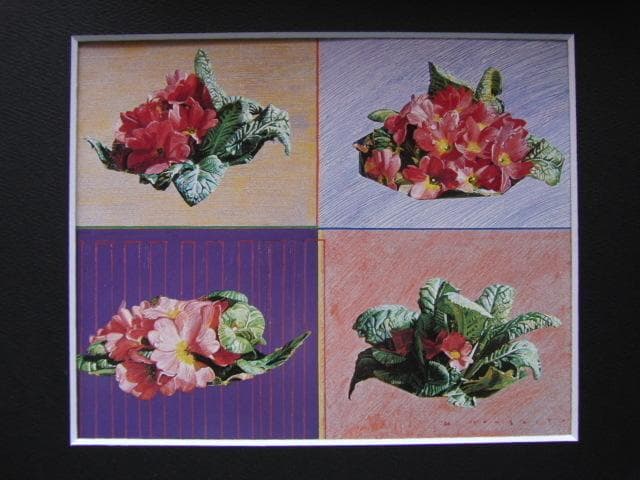 斎藤研、「花」、希少な額装用画集より、新品高級額装付