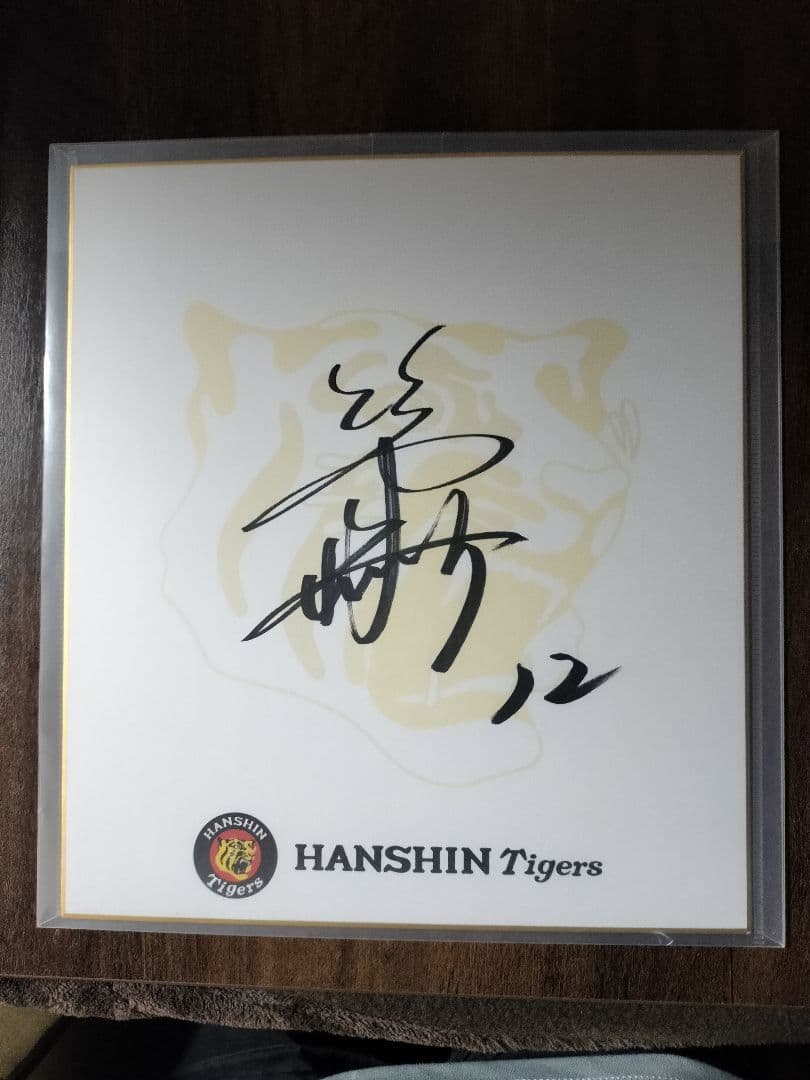 阪神タイガース　坂本誠志郎選手　直筆サイン色紙(保護ファイル付)