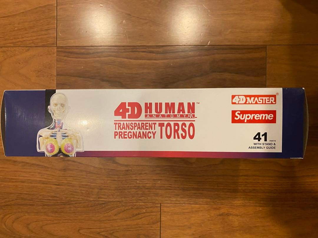 シュプリーム Female Anatomy Model