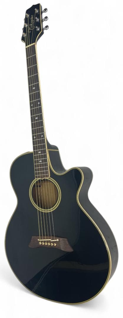 タカミネ　Takamine エレアコ NPT-110　ケース付き　07c03