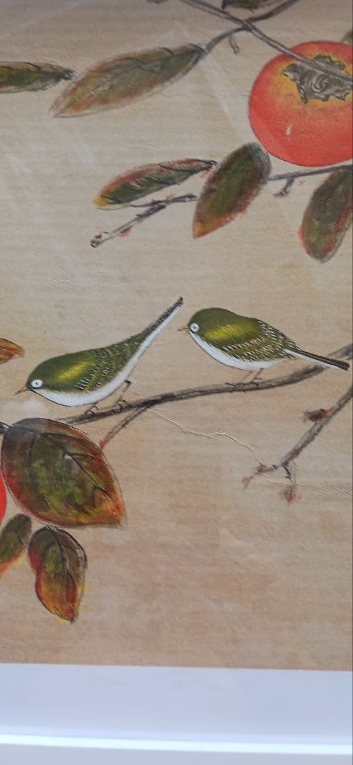 柿にメジロ、美濃和紙に田中秀光の真作画、額付き、送料無料