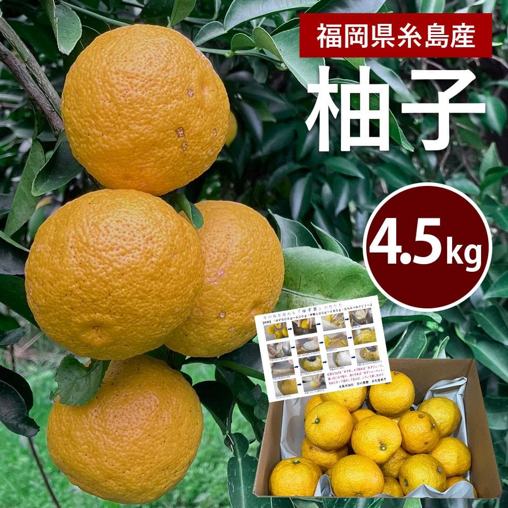 福岡県 糸島産 柚子 ゆず 4.5kg 約40～50個 業務用 家庭用 レシピ付