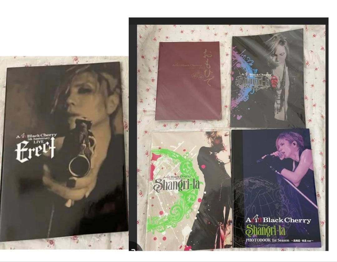 acid black cherry パンフ物