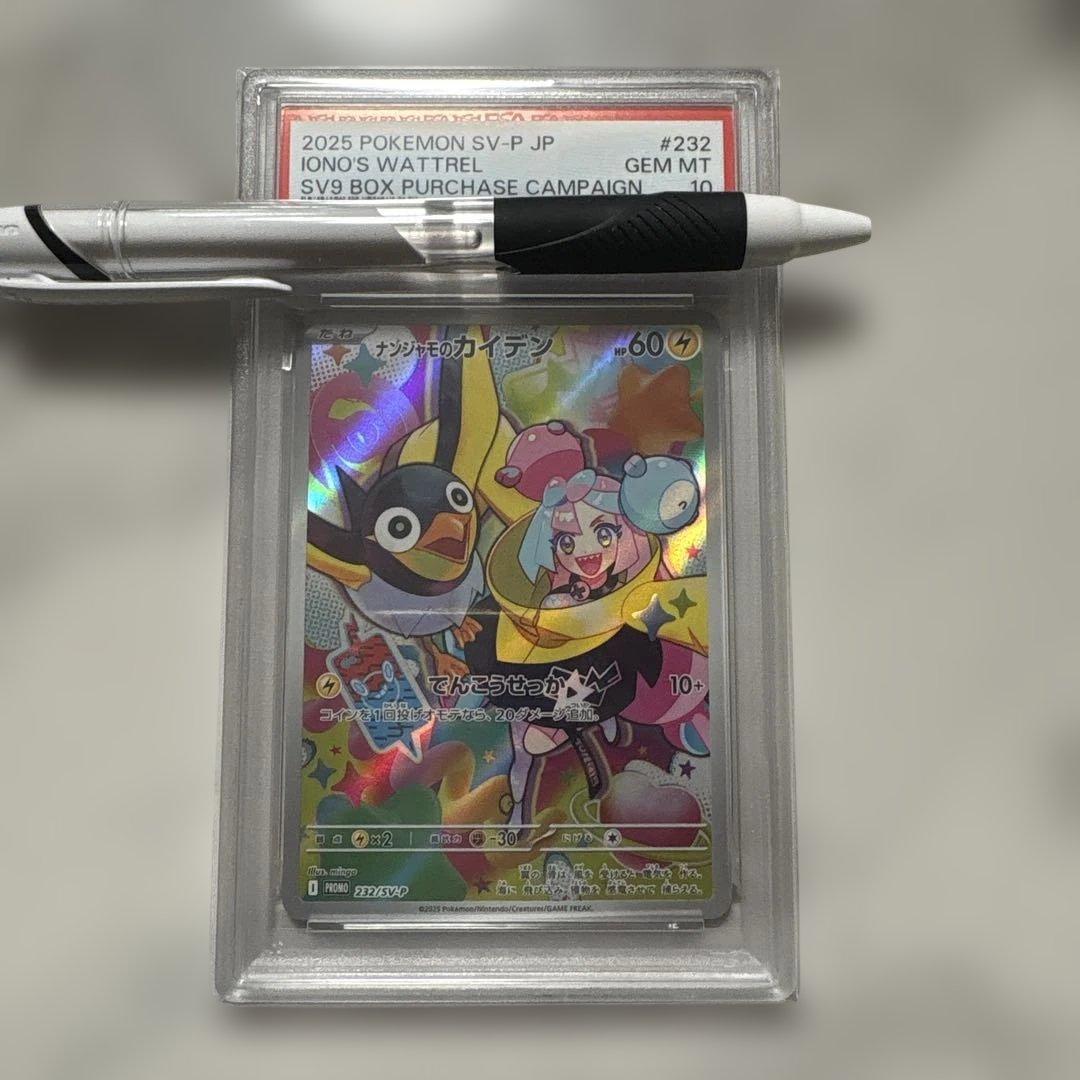 ナンジャモのカイデン P