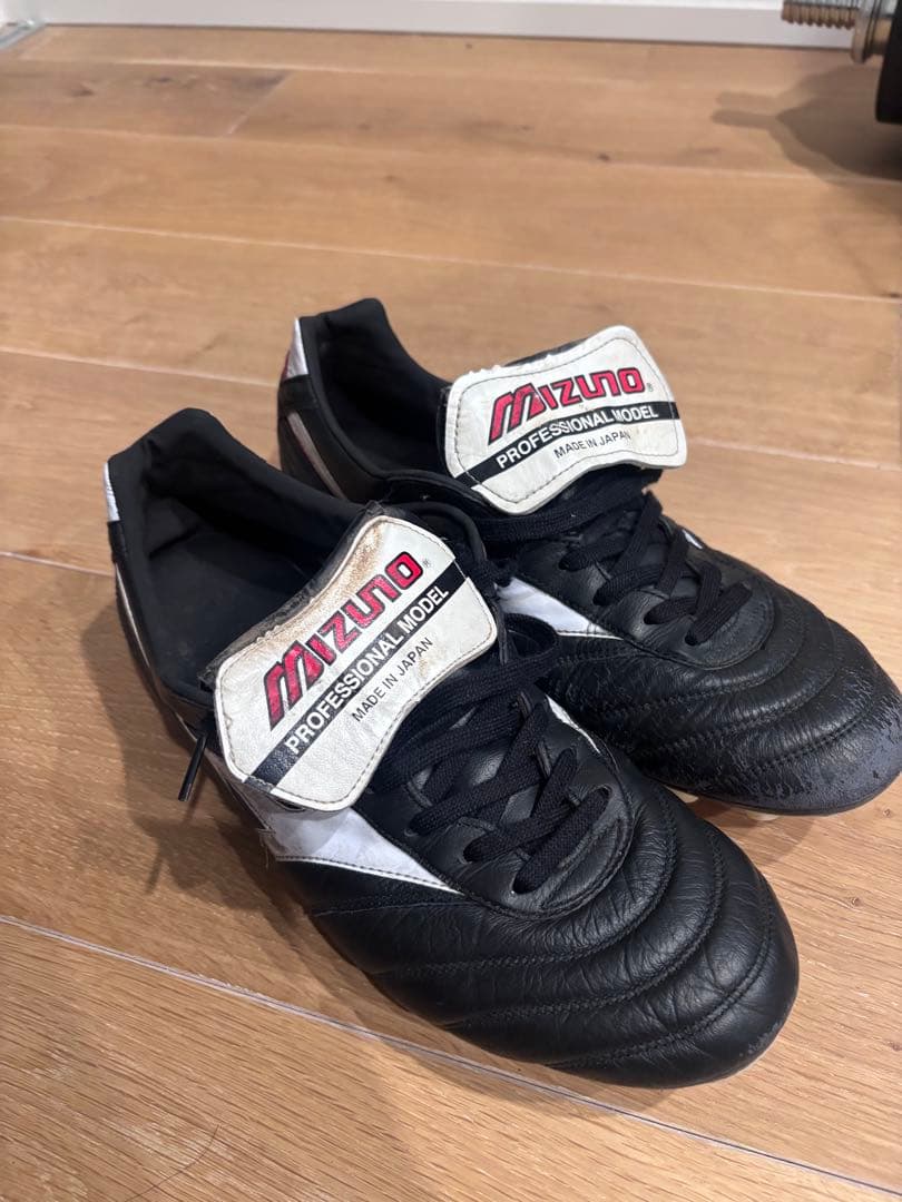 Kartoon様の専用 Mizuno Morelia Professional