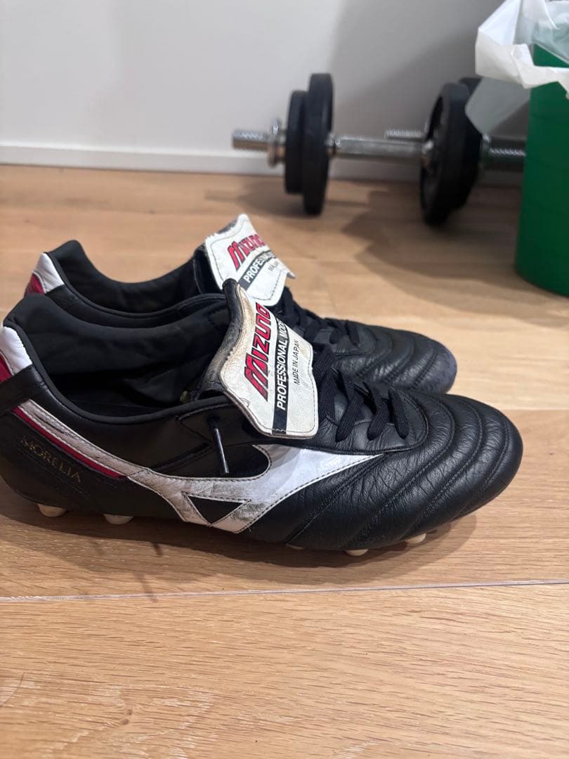 Kartoon様の専用 Mizuno Morelia Professional