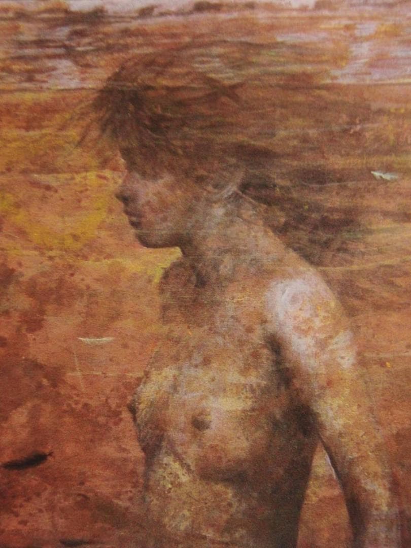 荒木尚、風の記憶、希少な額装用画集より、新品高級額装付、状態良好