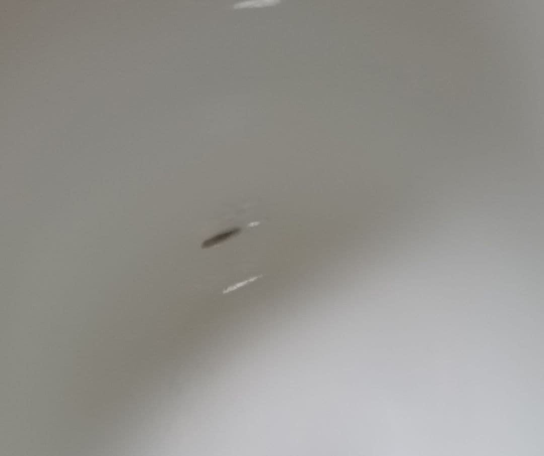 後期鍋島3個　猪口　鍋島焼　湯呑み