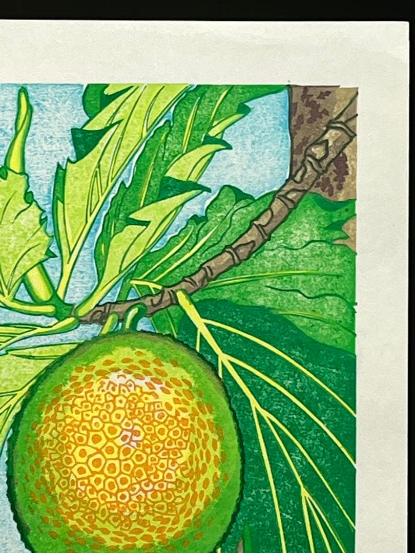 #Tahitian green 』 #パンの木の実