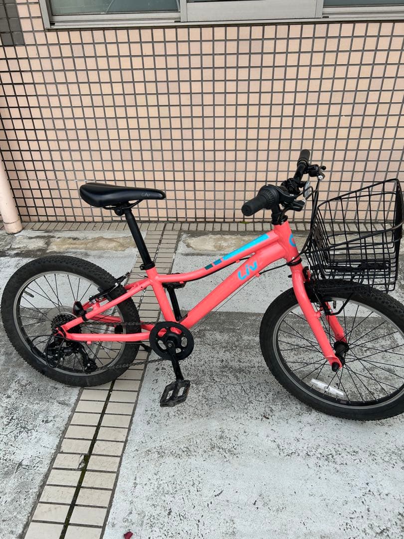 GIANT ENCHANT 20 LITE 20インチ 子供用 自転車