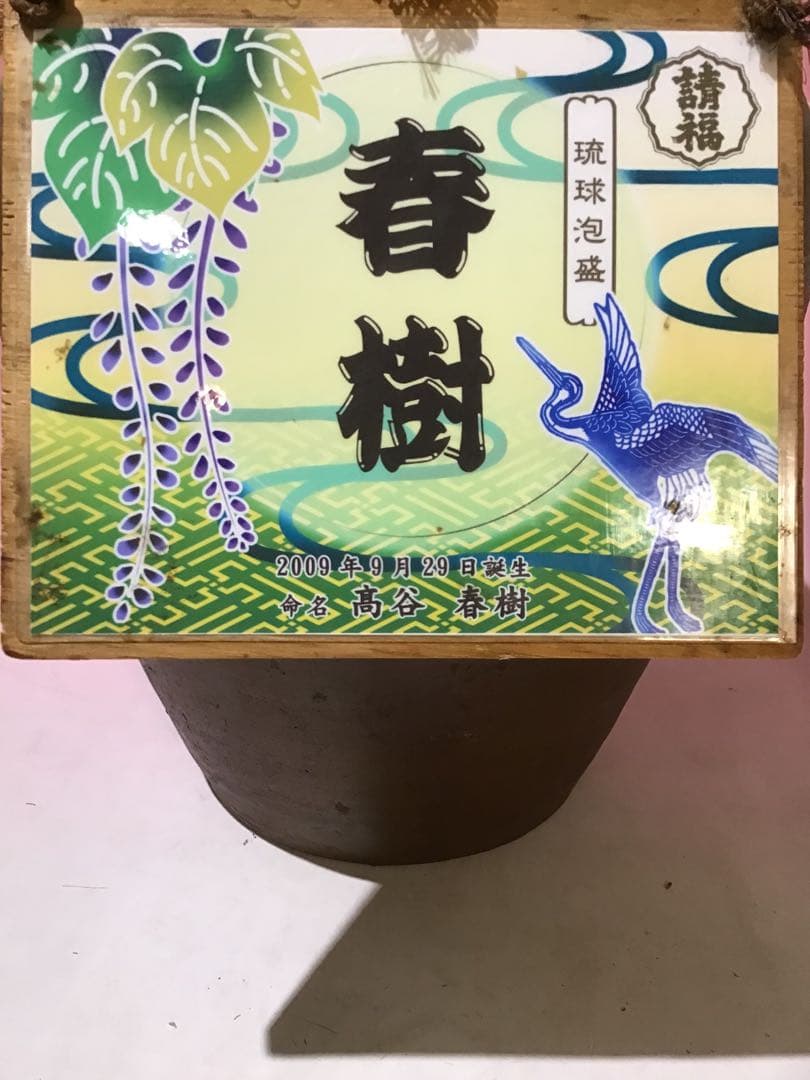 20698 琉球泡盛 請福春樹 甕 石垣島 熟成古酒 5400ml