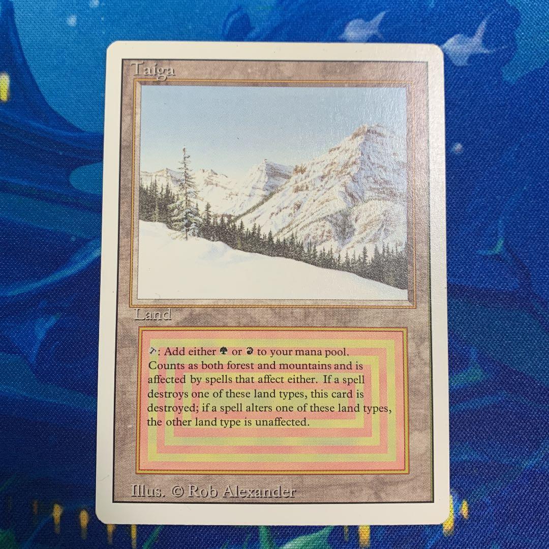 (shopsクーポン配布中)MTG Taiga