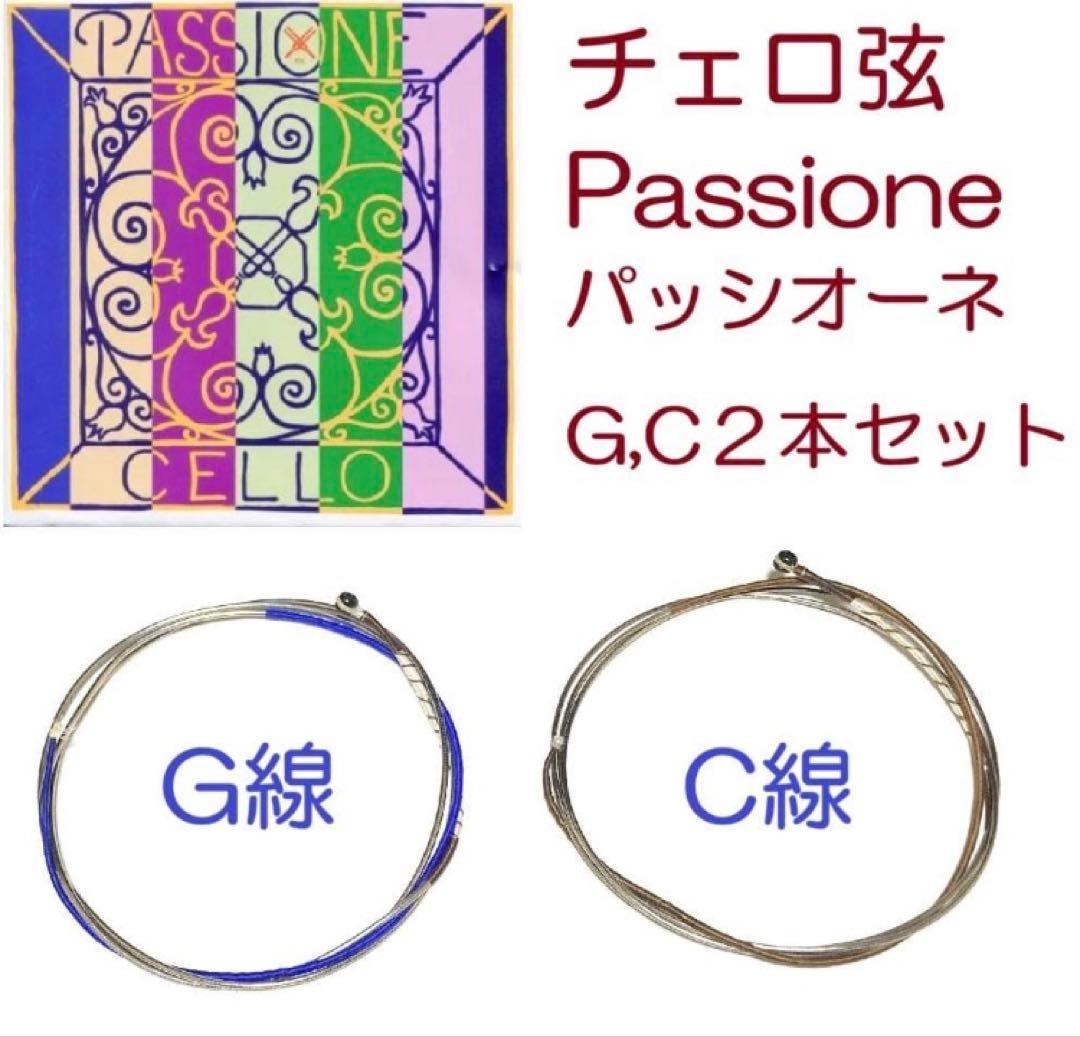 チェロ弦■ガット弦▪️PASSIONE■パッシオーネ■G,C線２本セット