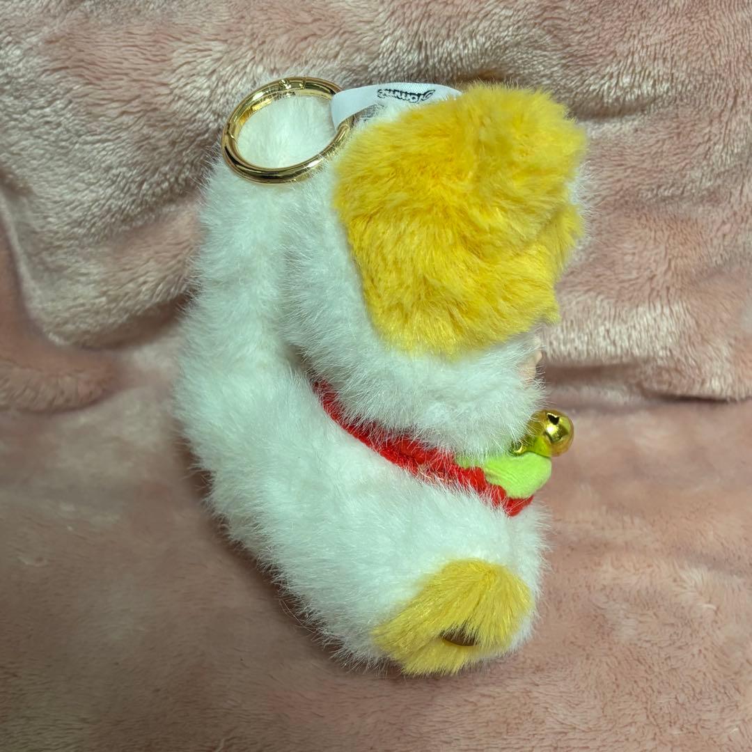 nommi sitting zoo 動物園　シークレット　招き猫　三毛猫