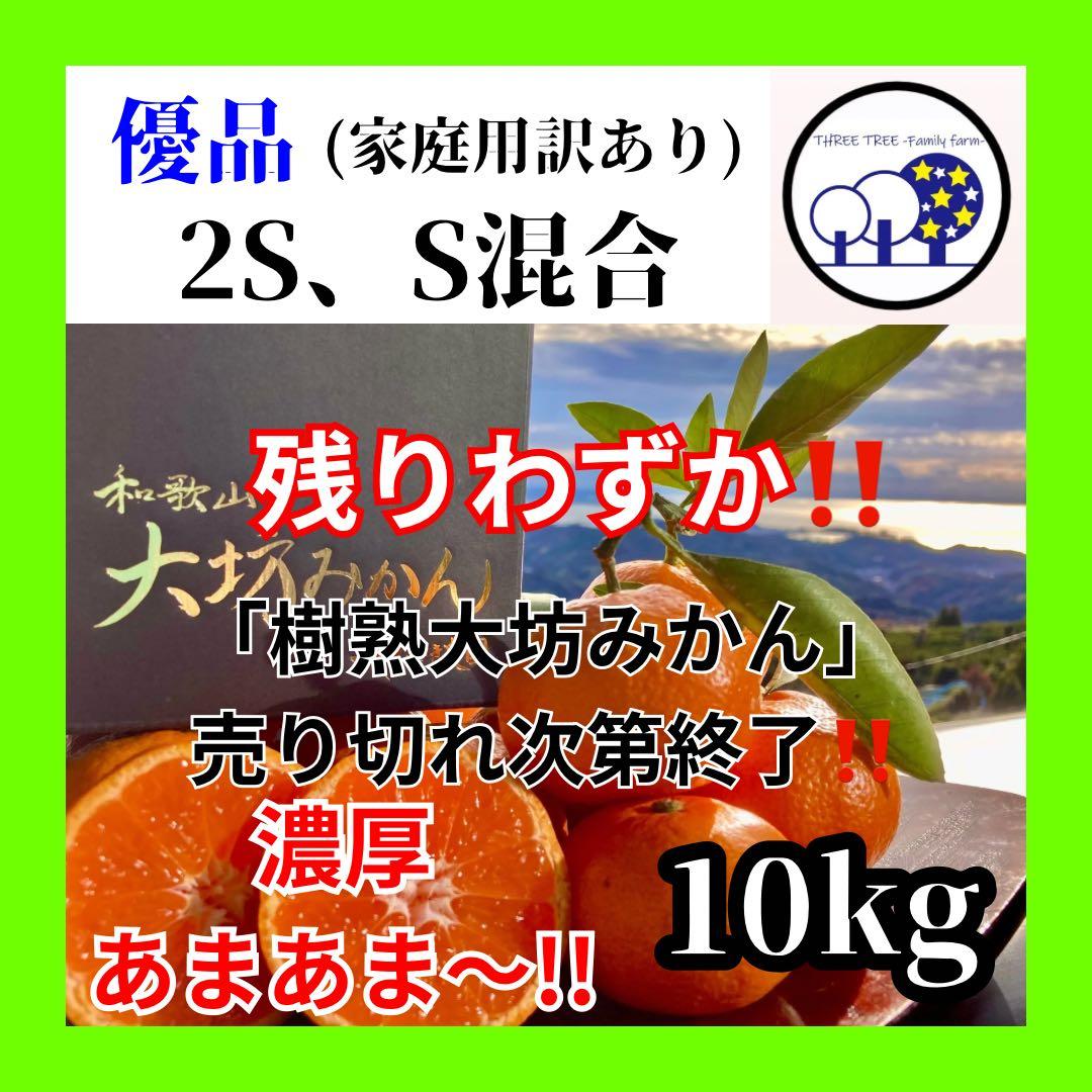 ④温州みかん 樹熟大坊みかん 優品(家庭用傷あり)2S、S、10kg