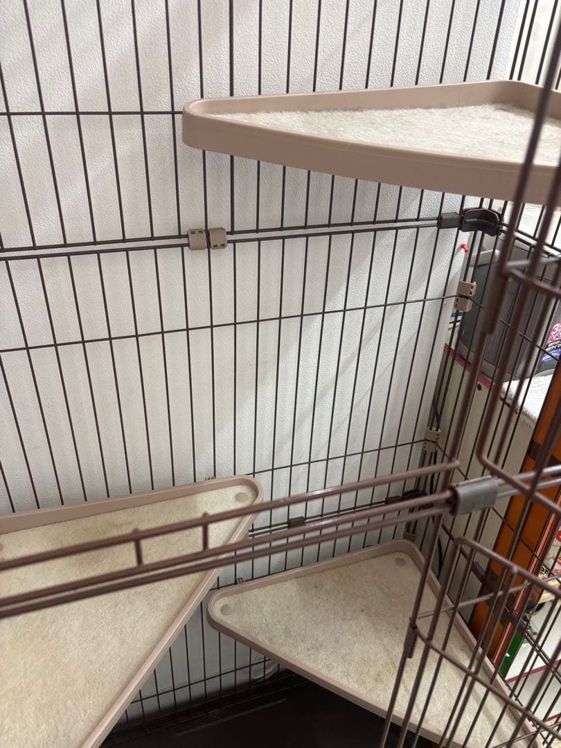 キャットゲージ