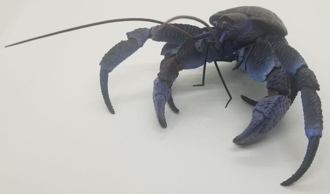 いきもの大図鑑プレミアム　ヤシガニ