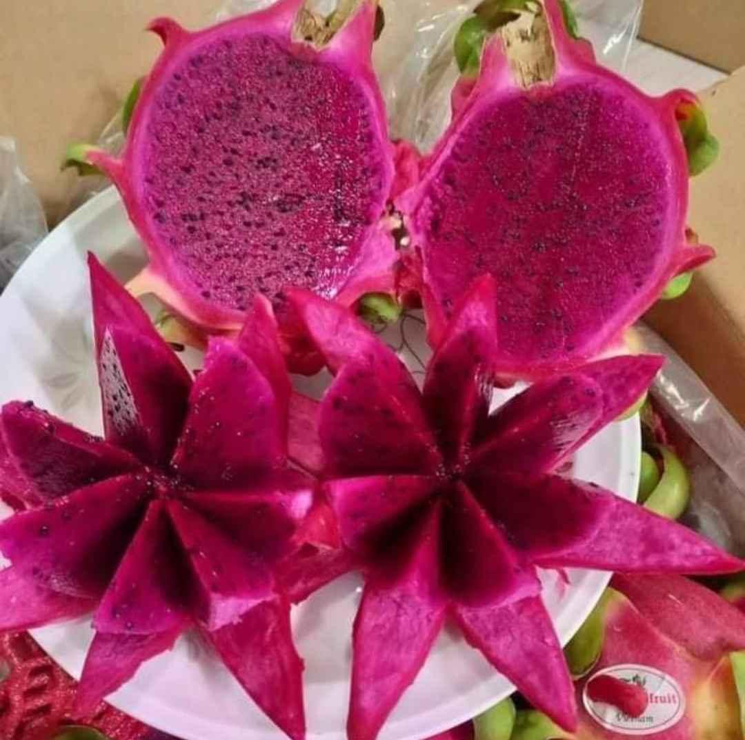 ドラゴンフルーツ 20玉Set /１箱　 紅心 火龍果 thanh long