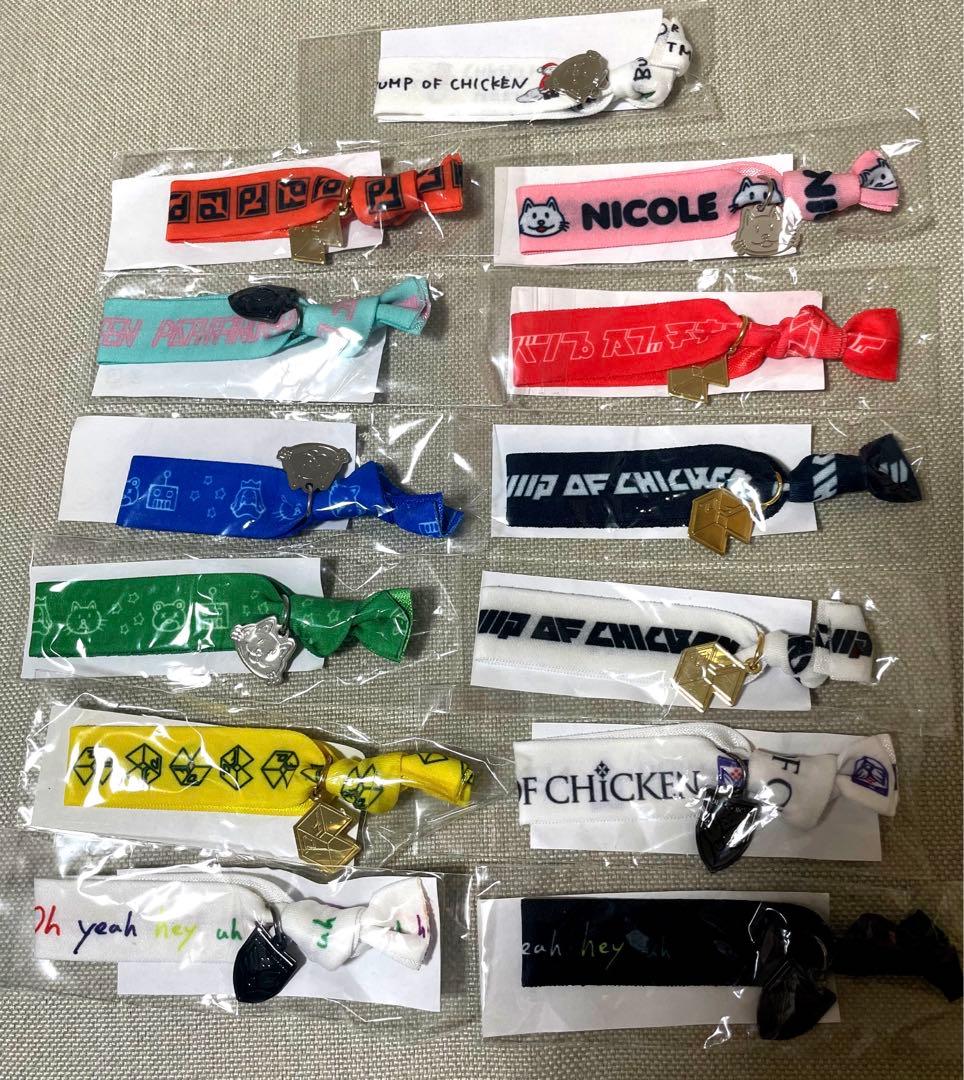 BUMP OF CHICKEN ツイストバンド13点セット クリスマスニコル入り