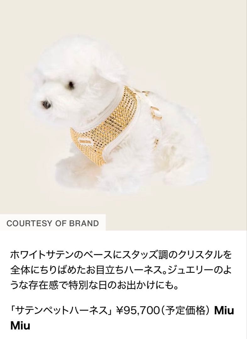 Miu Miu クリスタルスタッズハーネス