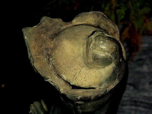 ♥古銅　観音像　大型　51ｃｍ　仏像　観音様　骨董品