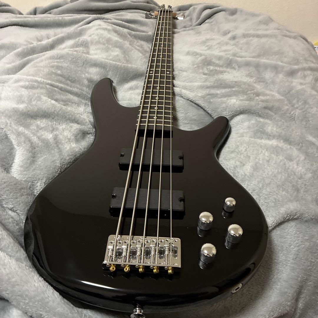 雪*。様 Ibanez GIOシリーズ 5弦エレキベース Black GSR20