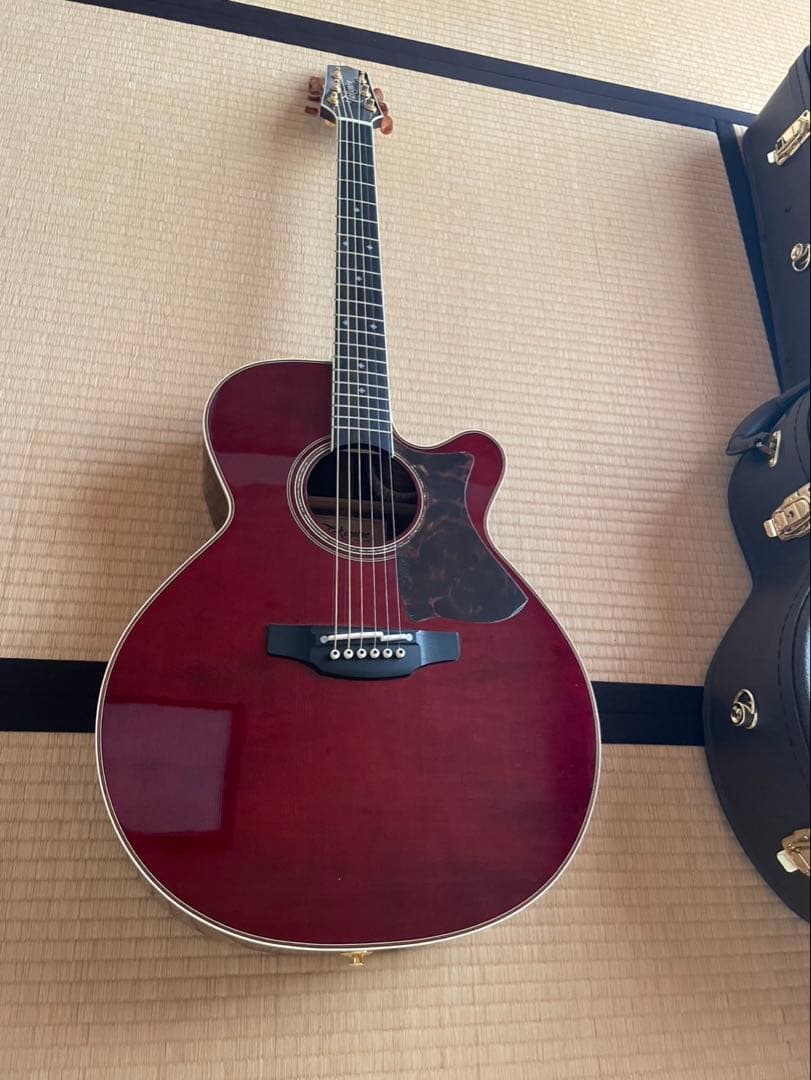 Takamine DMP50S WR アコースティックギター